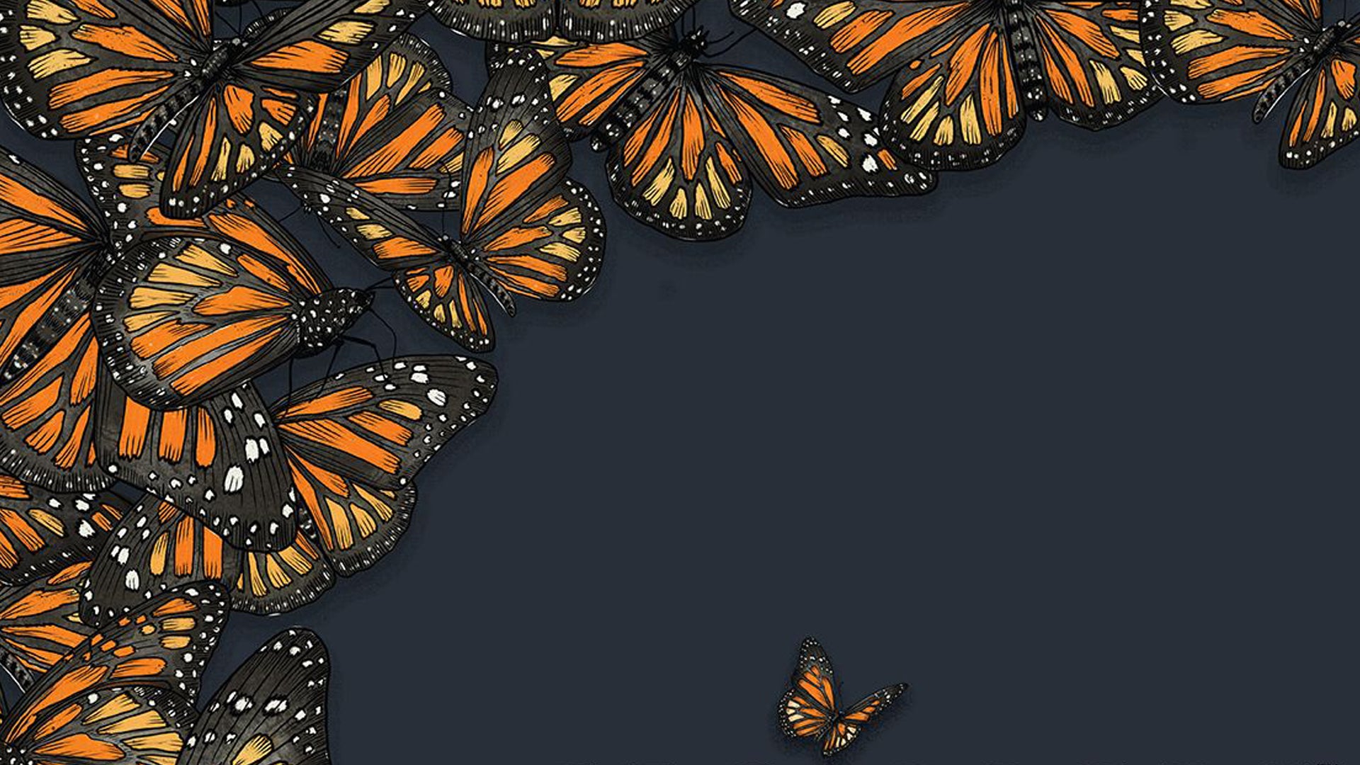 Migrate butterflies in Mariposas, the next board game from the designer ...